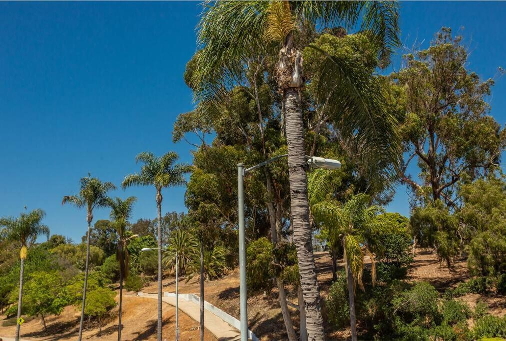 Cozy Studio next to San Diego DT&Balboa Park Exterior foto